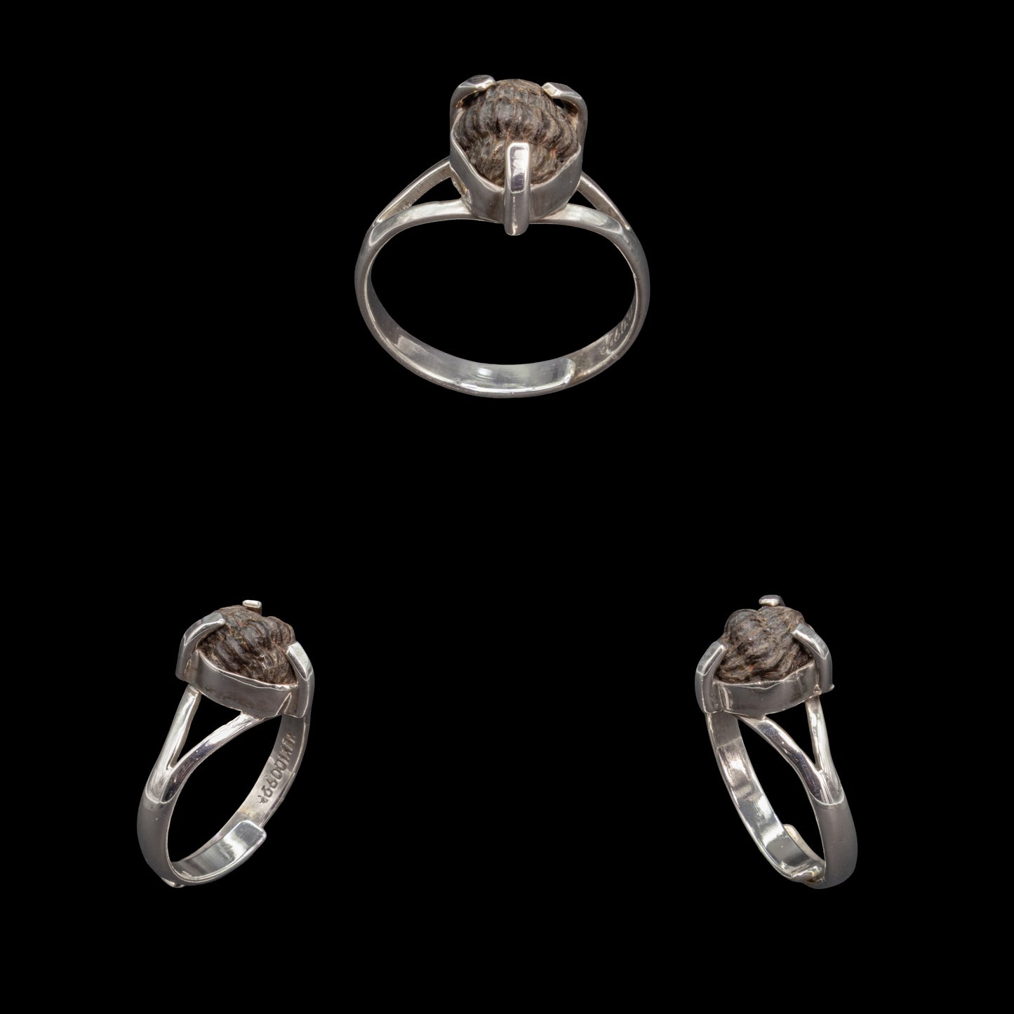 Anillo De Trilobite Fósil