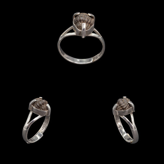 Anillo De Trilobite Fósil
