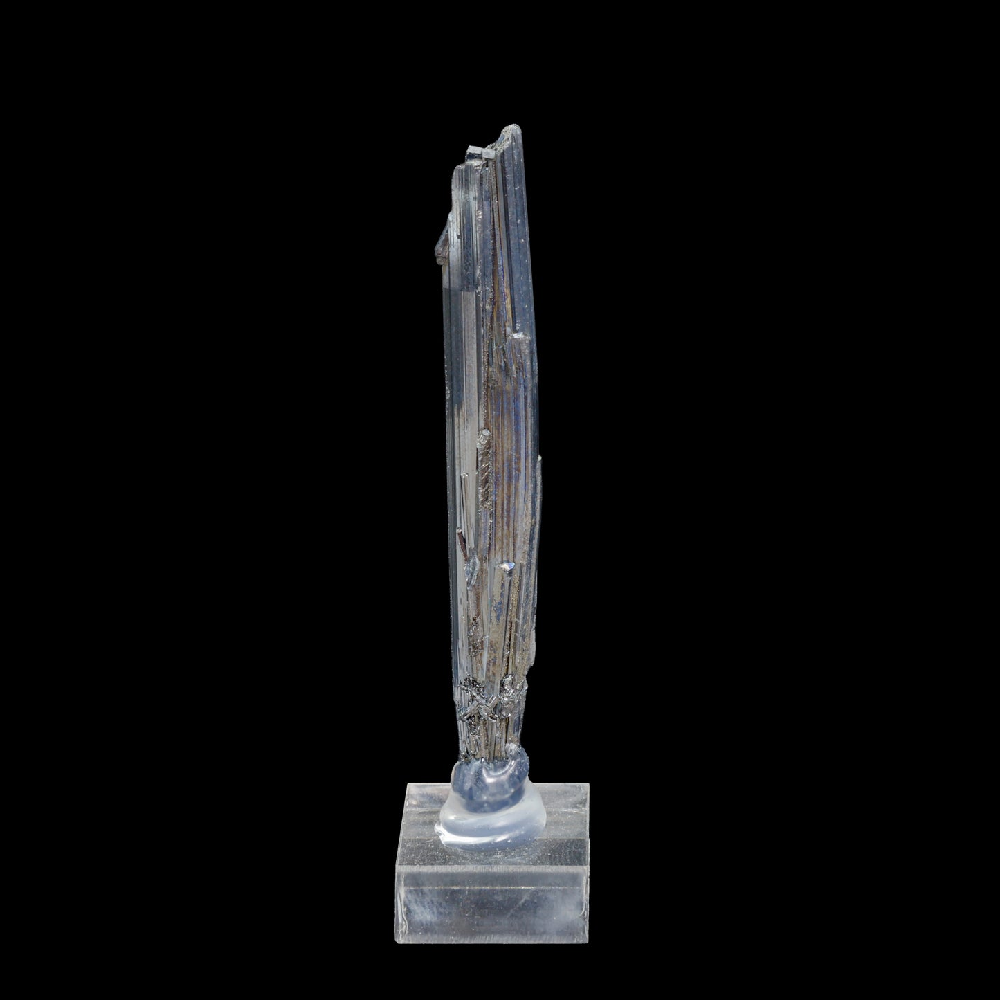 Estibina