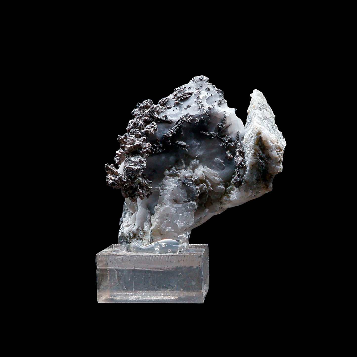 Plata Nativa