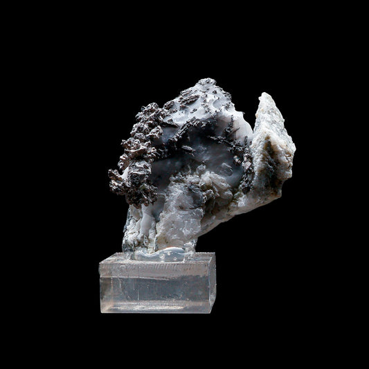 Plata Nativa